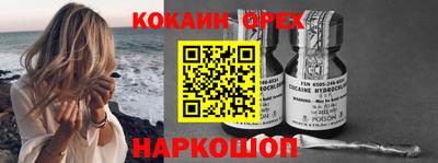 гашик Кимры