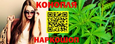 ALPHA PVP Кингисепп