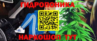гашик Кимры