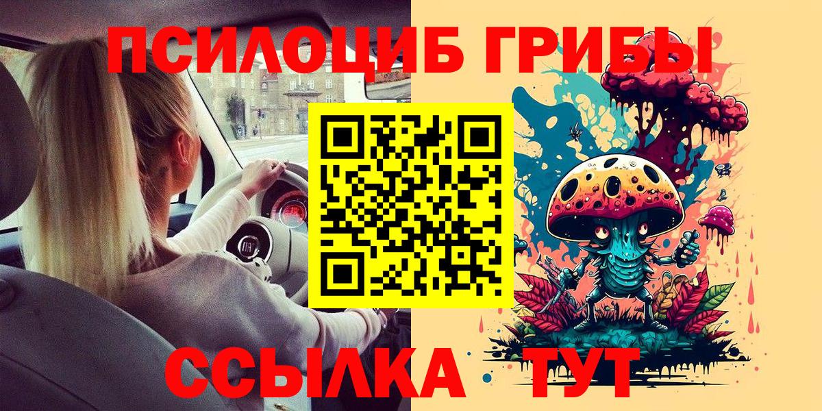 Псилоцибиновые грибы GOLDEN TEACHER Дивногорск
