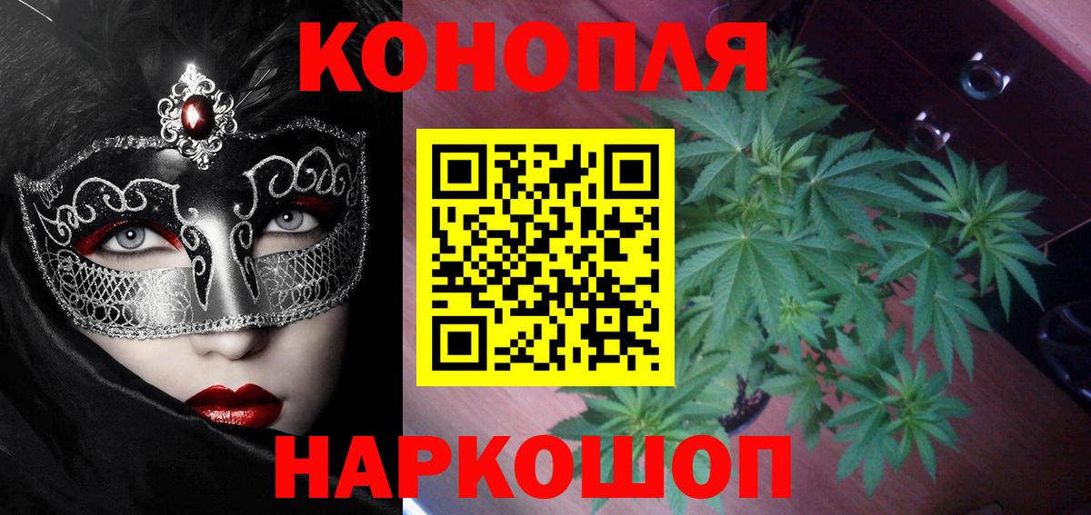 Бошки Шишки тримм  Марихуана ГИДРОПОН  Марихуана план  Вход с VPN  Дивногорск 